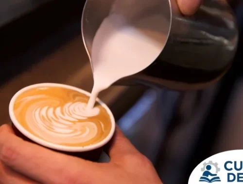 Curso Barista del INA