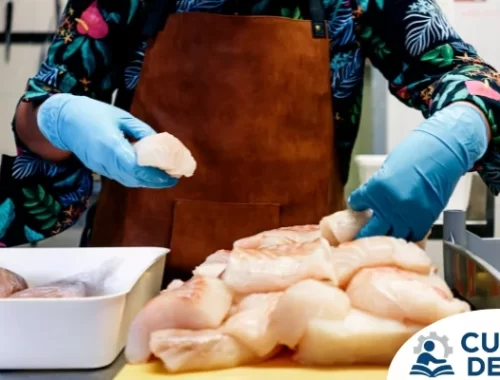 Curso INA Manipulación de Alimentos